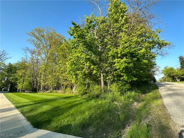 Vacant Lot Eddy Rd, Willoughby, OH 44094