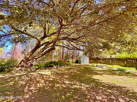 5th image of 1006 Meridian Dr