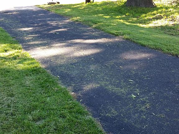 Driveway