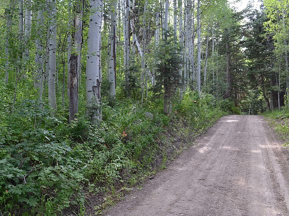 4th image of 741 W Forgotten Ln #A-96