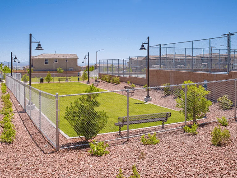 10025 Desert Bighorn Ct — Photo 63