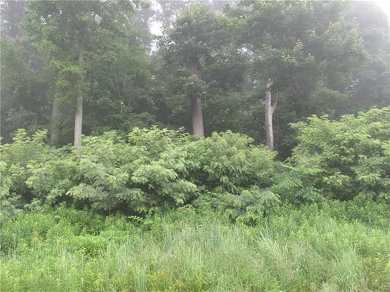 2nd image of LOT 67 Timbercrest Dr
