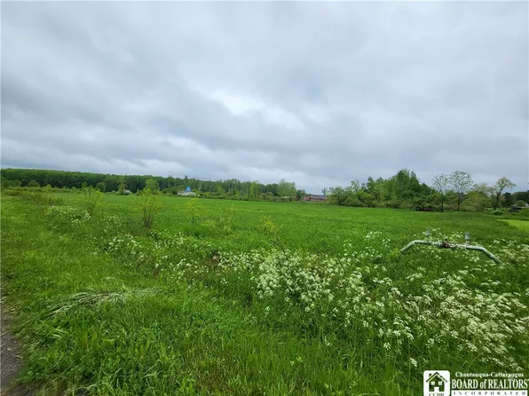 Dredge Rd #2, South Dayton, NY 14138