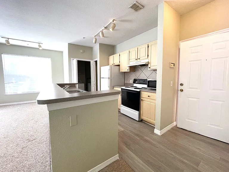 1275 Lake Shadow Cir #13202 — Photo 4