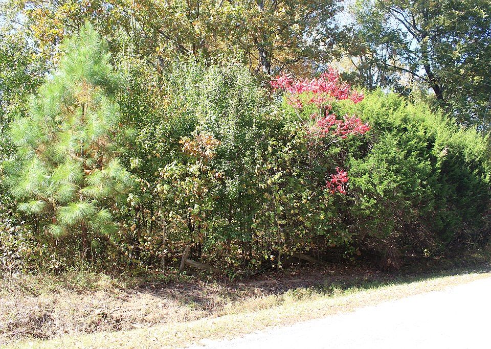 2nd image of 228 Hopewell Rd
