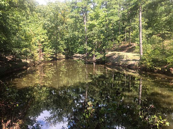 Pond!!! Water Feature!!?!?