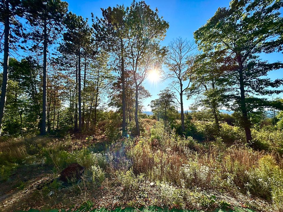 1st image of Map 11 Lot 8 Gray Road