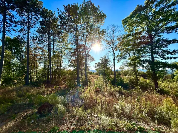 Map 11 Lot 8 Gray Road, Sangerville, ME 04479