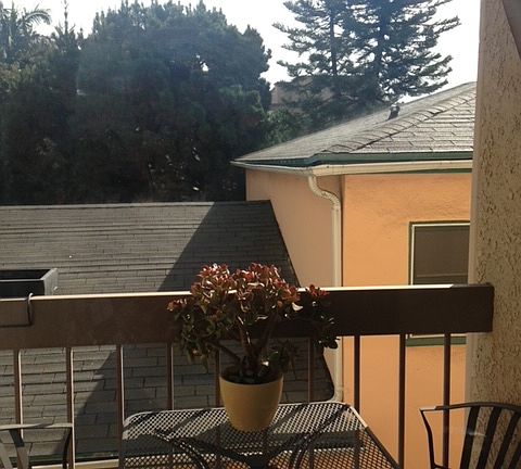 5th image of 2263 Fox Hills Dr APT 101