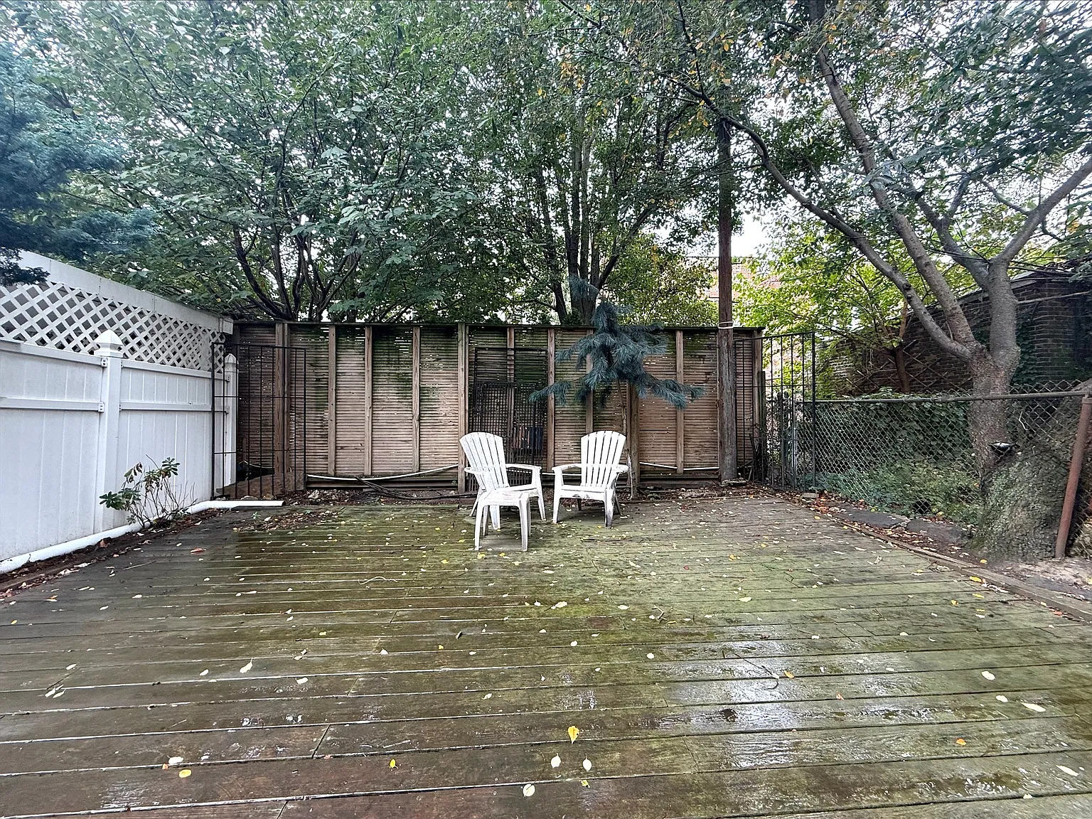 1 bed, 950 sqft, $3,500 — Photo 3