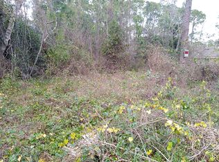 410 Ruth Jennings Dr, Debary, FL 32713