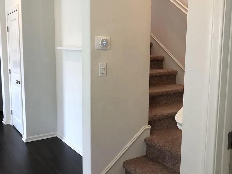 65 Fairymoss — Photo 21