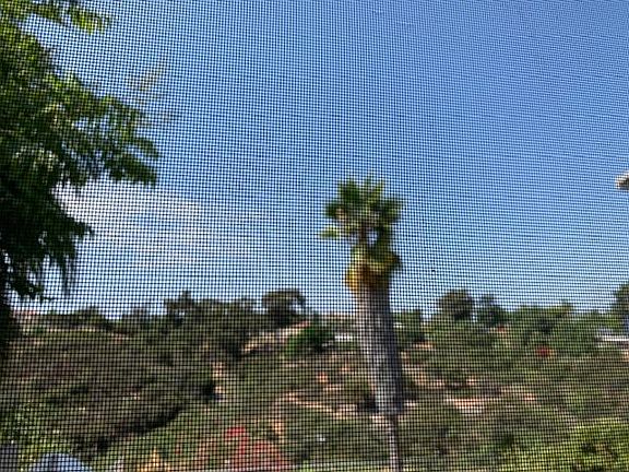 View of the canyon from your front door.