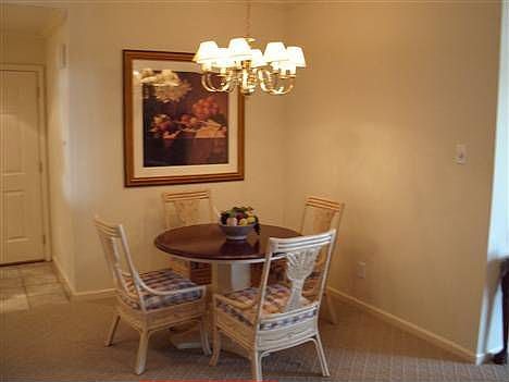 5th image of 203 Sunset Point Dr APT 313