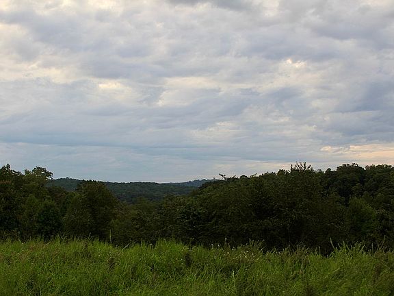 View Across the Street