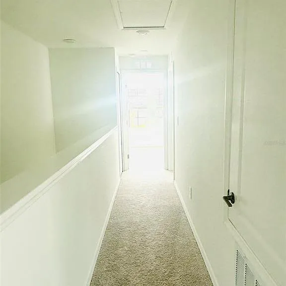 10812 Itchetucknee Way — Photo 5