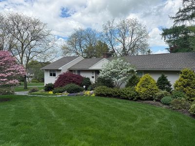313 Amity St, Amherst, MA, 01002