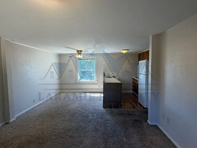 529 Spring Creek Dr #4 — Photo 3