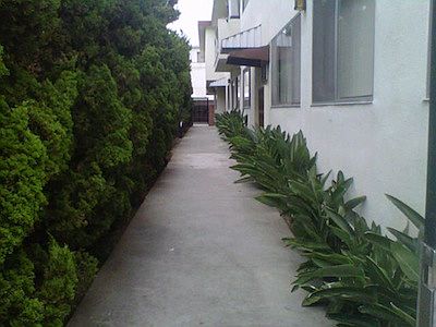 2nd image of 12625 Pacific Ave APT 8