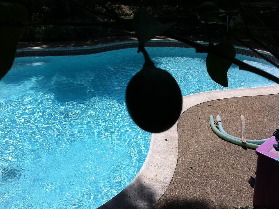 1st image of 903 Rosewood Ct