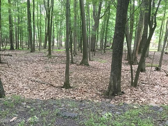 2nd image of Cn018 Iroquois Cir