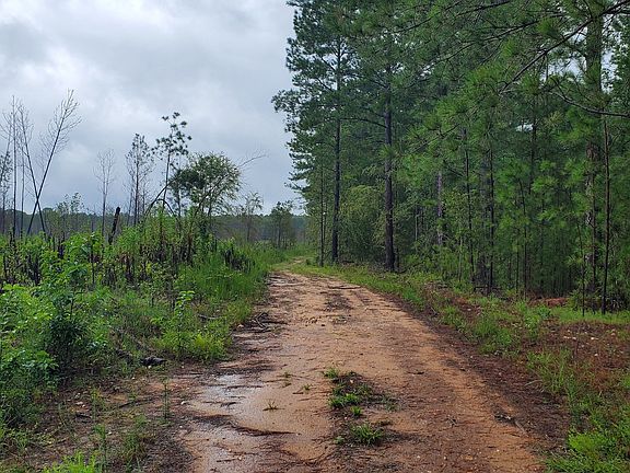 5th image of 2 Smith Rocky Branch Rd
