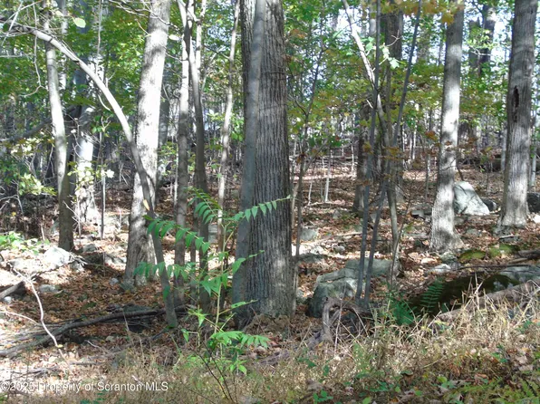 Deer Run, Moscow, PA 18444