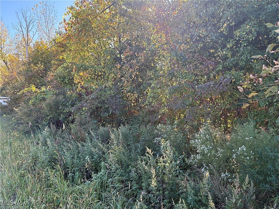 2nd image of Pearl Ave