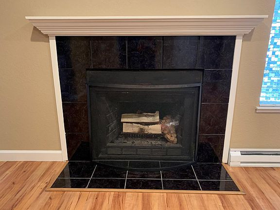Fireplace in the living room