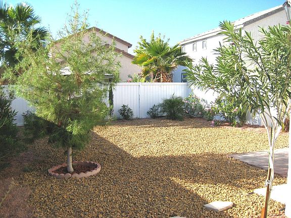 Low maintenance back yard