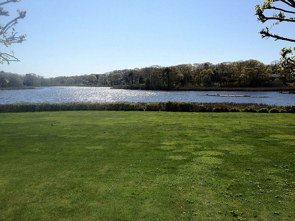 back yard view