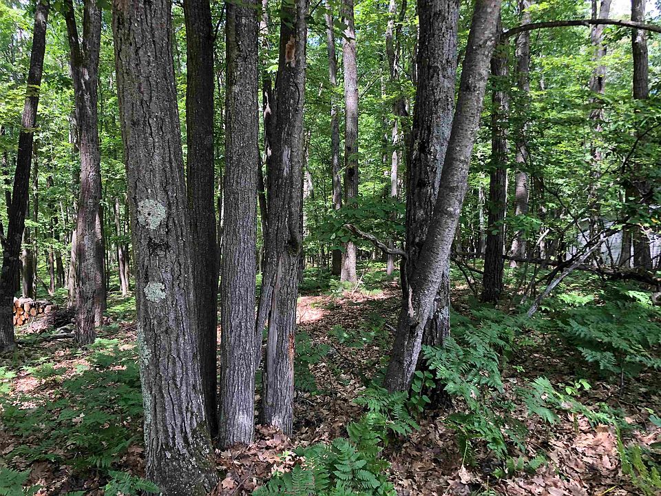 2nd image of Baric Dr