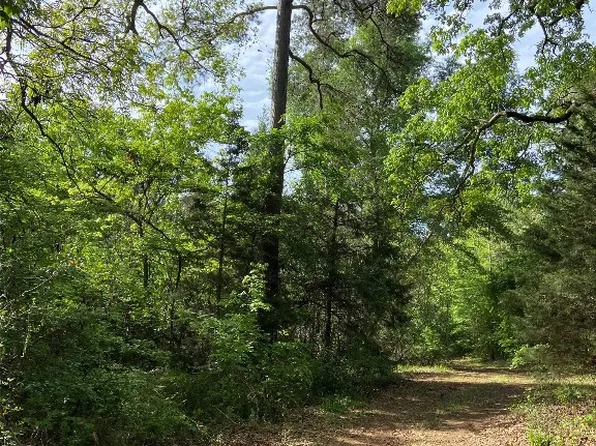 0 An County Road Off #478, Palestine, TX 75803
