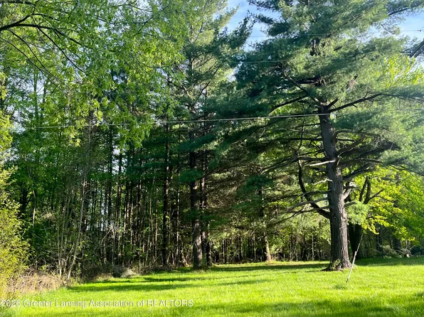 11000 W Monroe Rd, Riverdale, MI 48877