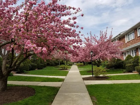 777 Springfield Ave APT 17, Summit, NJ 07901