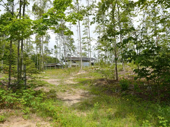 Hardwood St, Elmira, MI 49730