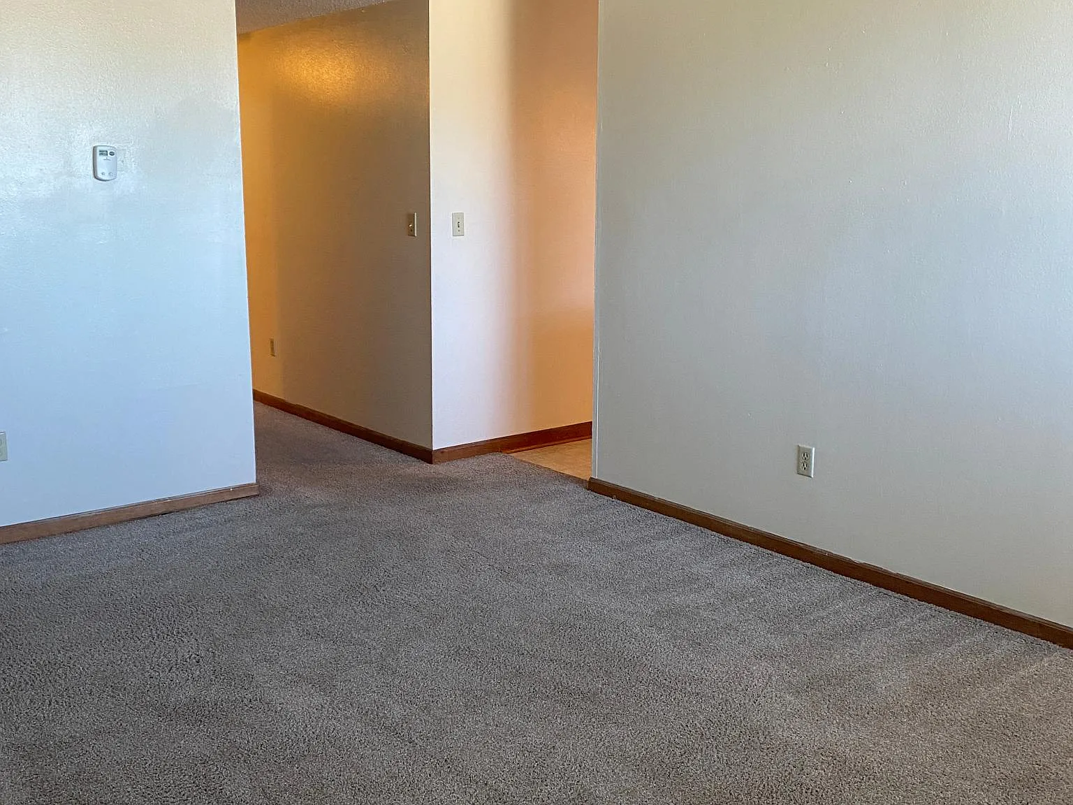 3 bed, 100 sqft, $700 — Photo 4