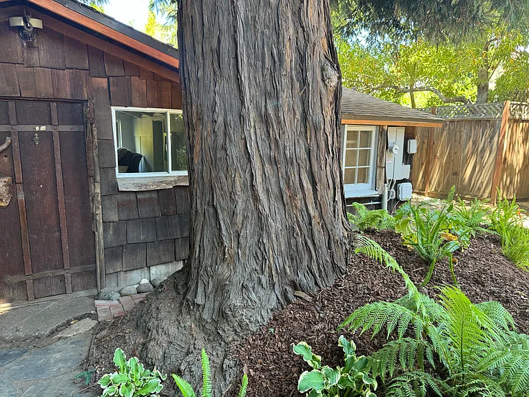 1554 Cowper St — Photo 34
