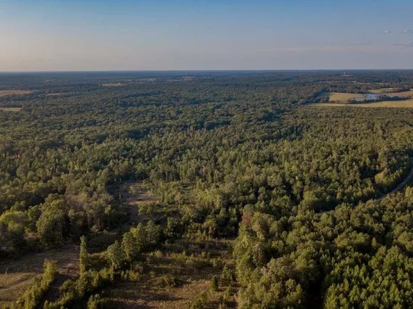 Tbd Cr 435 D 305 Acres, Laneville, TX 75667