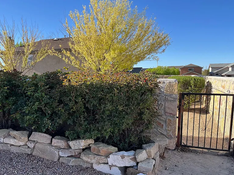 3989 Sombra Arbol Ct — Photo 4