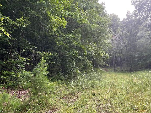 3rd image of Bullen Valley Rd