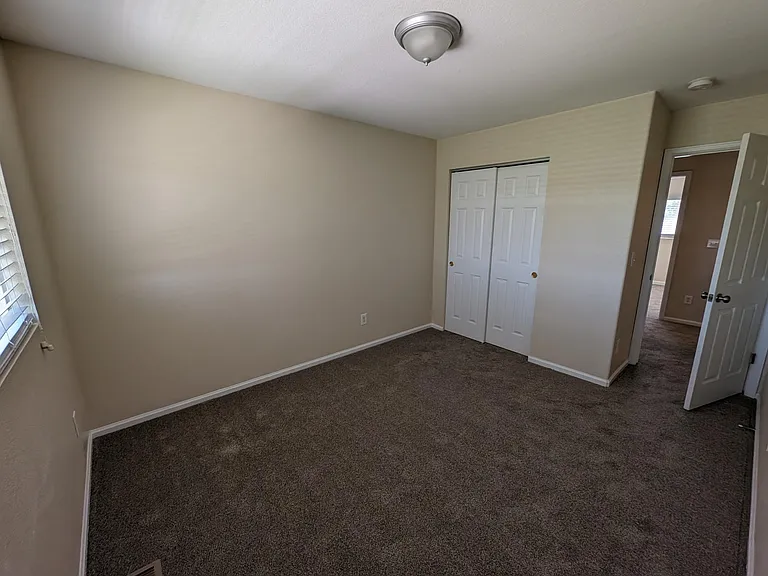 880 Macaw St — Photo 11