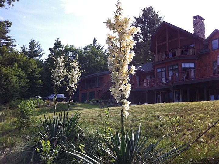 2nd image of 117 Greenfield Rd