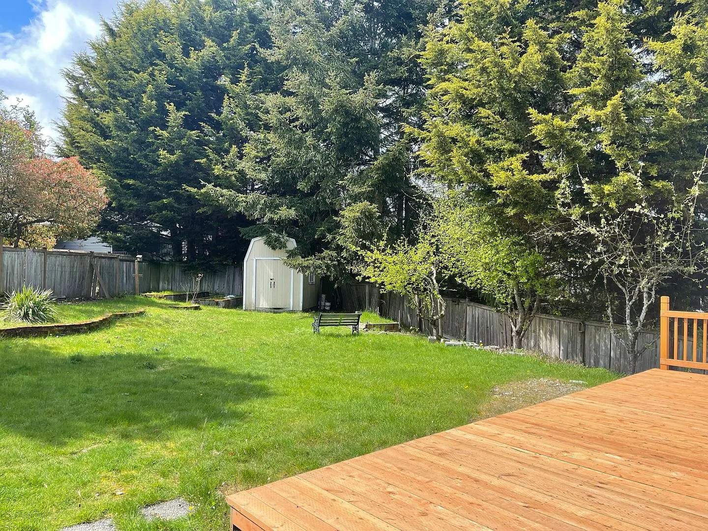 Renovated Home in Peaceful Edgewood Suburb! — Photo 2