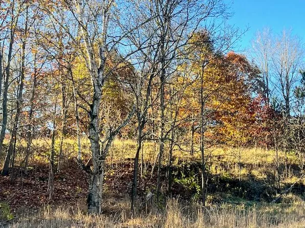 9955 Wiitala Rd, Copemish, MI 49625