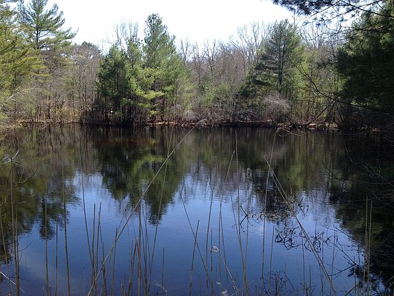 Pond on property.  Has fish!