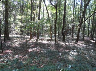 205 Combs Dr, Montezuma, GA 31063