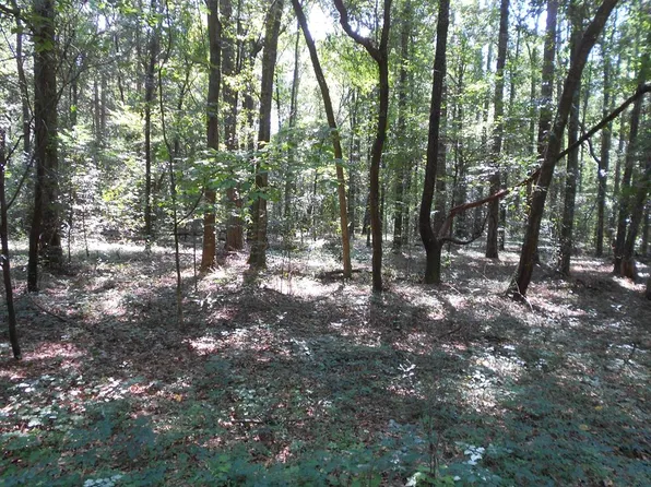 509 Patricia Dr, Montezuma, GA 31063