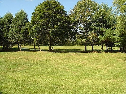 Backyard View