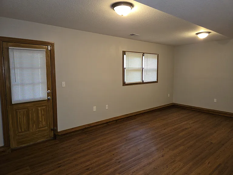 Lower level family room